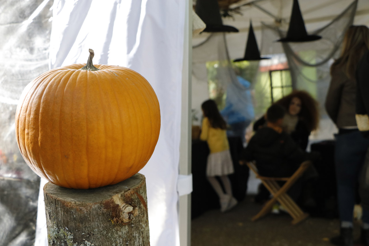 france miniature halloween 2018-17